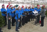 Carols at Waddesdon Manor, December 2011